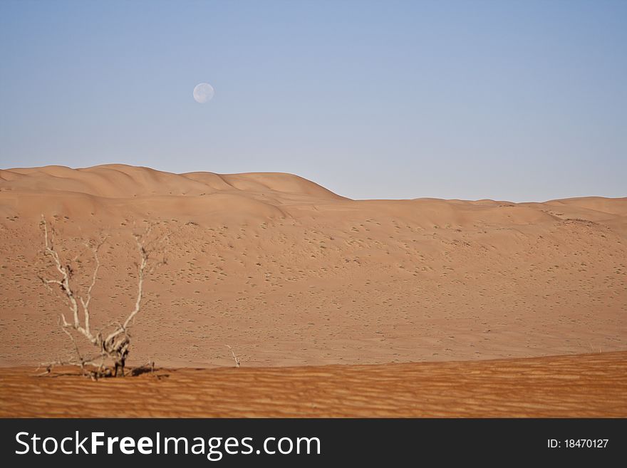 The dunes of the arabic desert