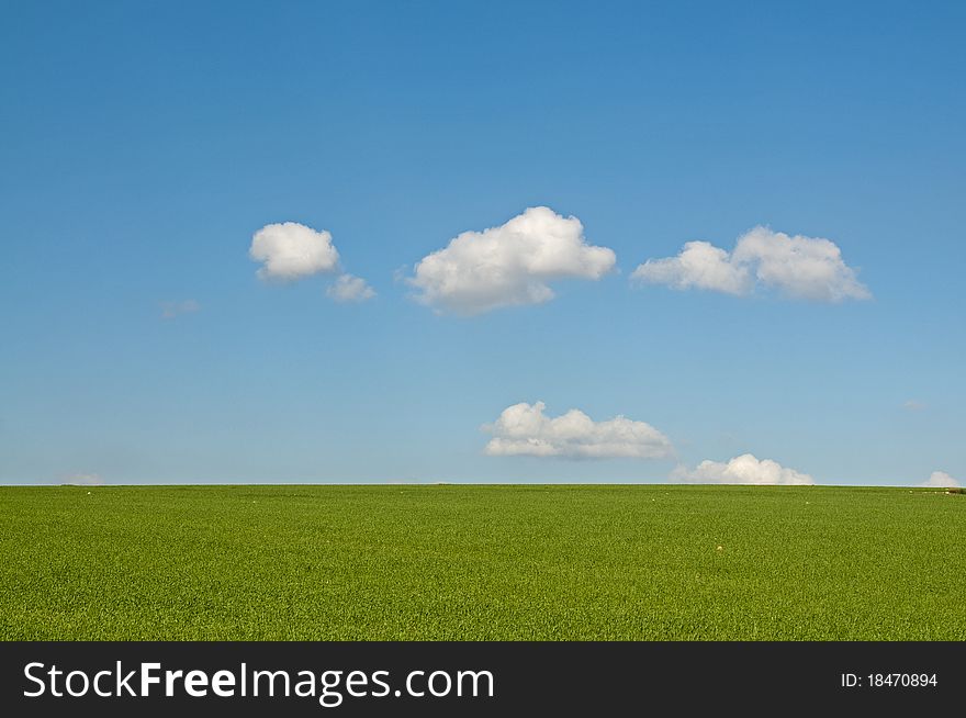 Green field against blue sky with clouds. Green field against blue sky with clouds