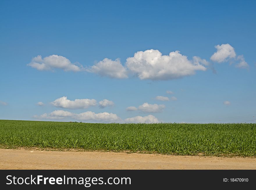 Green field against blue sky with clouds. Green field against blue sky with clouds