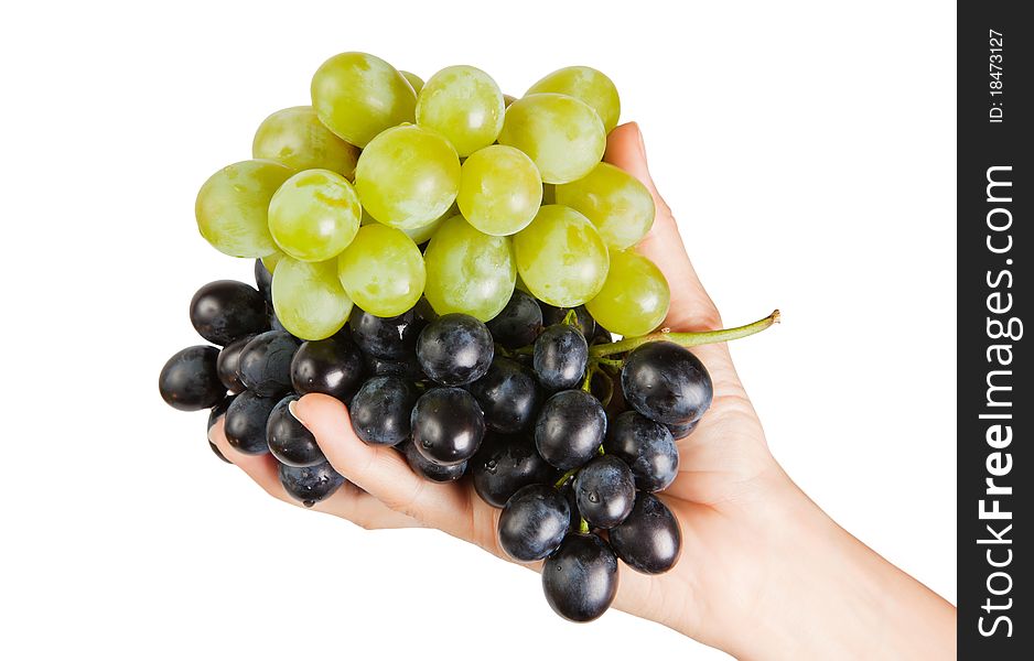 Grapes in female palms is isolated on a white background