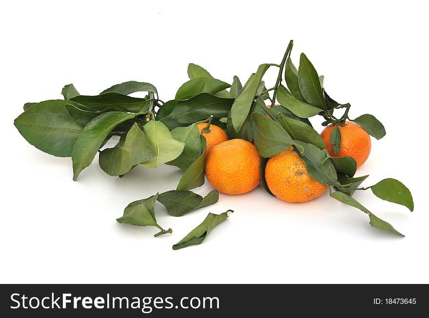 Ripe tangerine orange just kept from farm