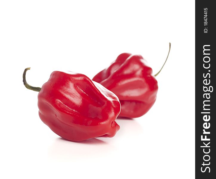 Red hot chili peppers on white background