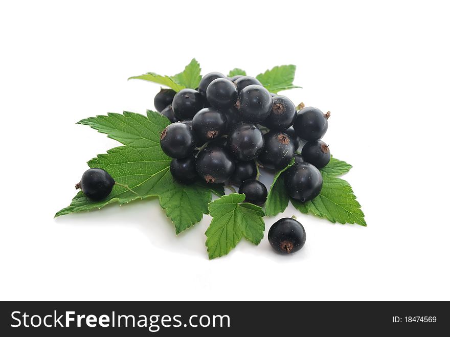 Currant berries. Currant fruits on isolated white background.