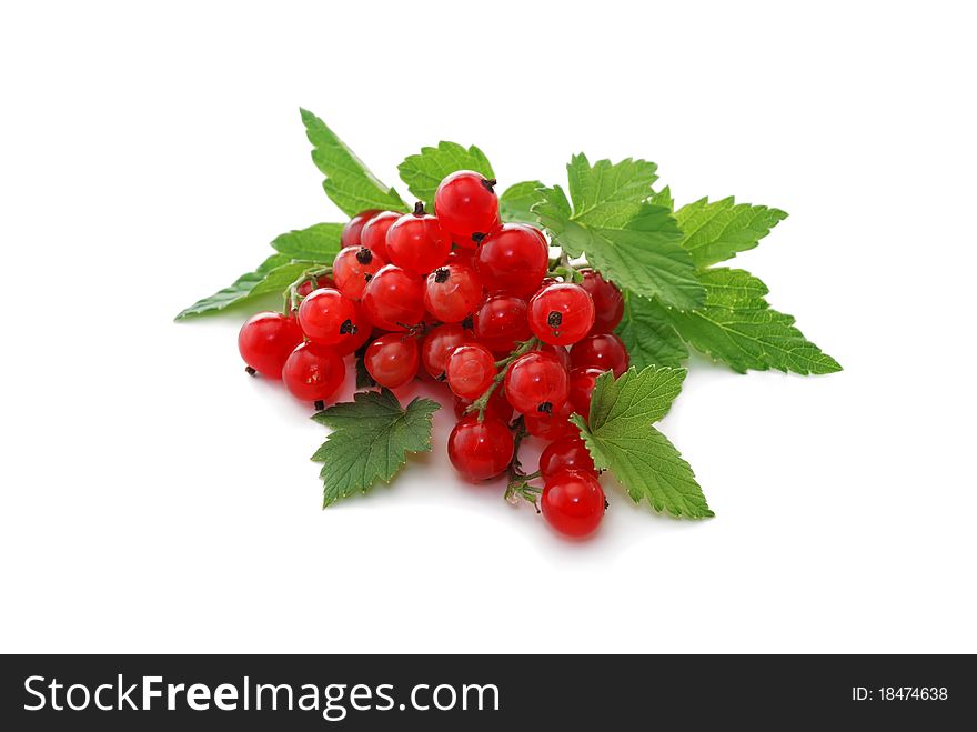 Currant berries. Red currants on a white background.