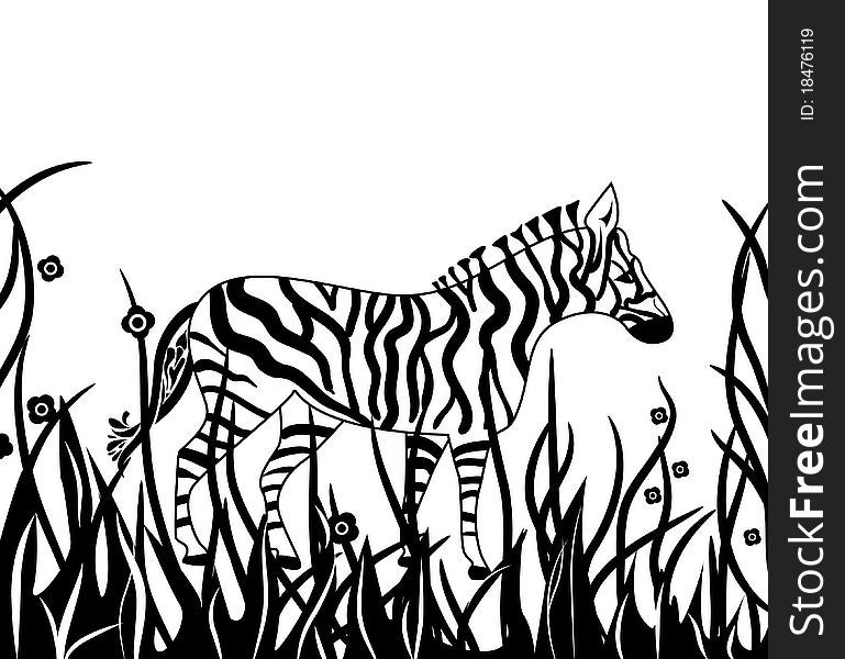 Zebra in safari. Vector black drawing illustration