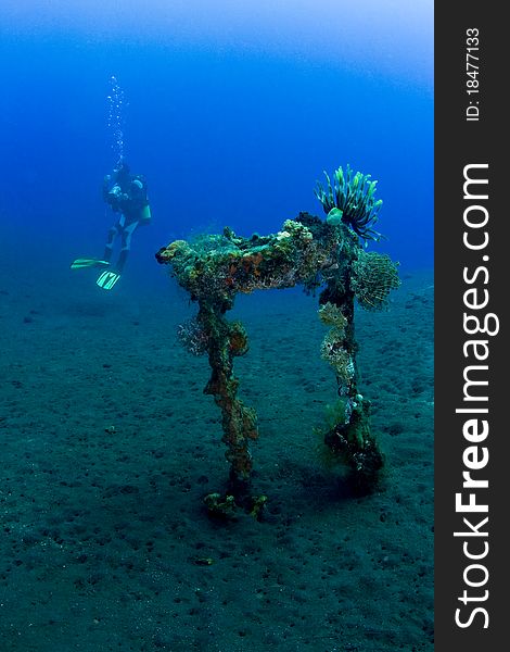 Diver with part of the liberty wreck over volcanic black sand. Taken at Tulumben, Bali, Indonesia. Diver with part of the liberty wreck over volcanic black sand. Taken at Tulumben, Bali, Indonesia.