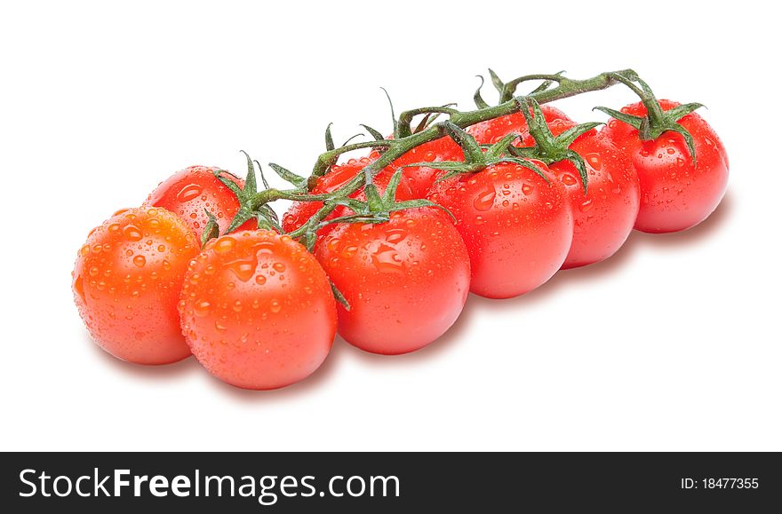 Ripe red cherry tomatoes on the branch with water drops