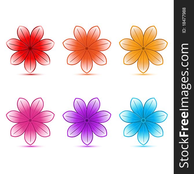 Illustration of colorful flowers on white background