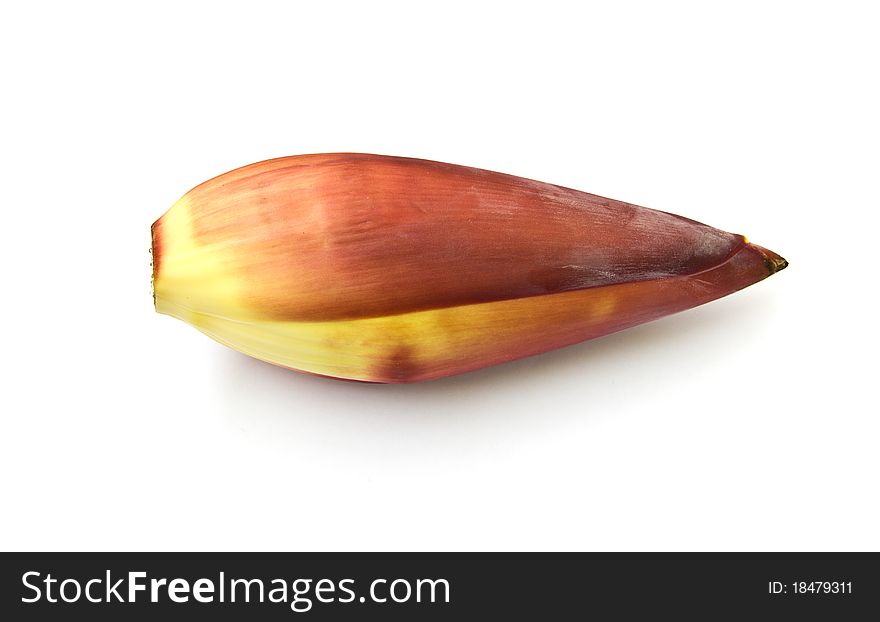 Banana flower isolated on white background.