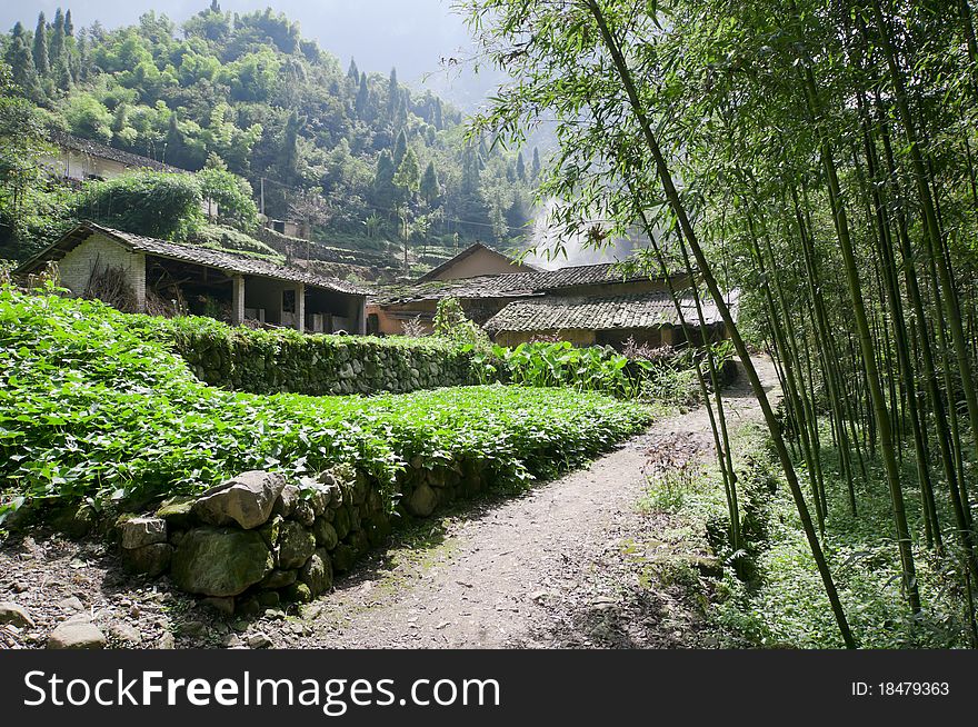 China Three Gorges People