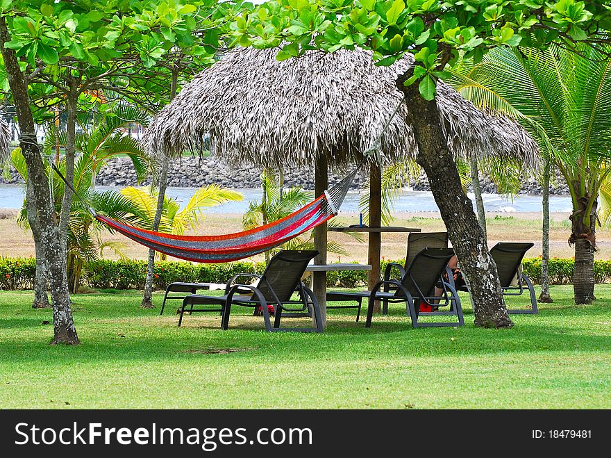 An empty hammock hanging on the lawn with the ocean in the background.