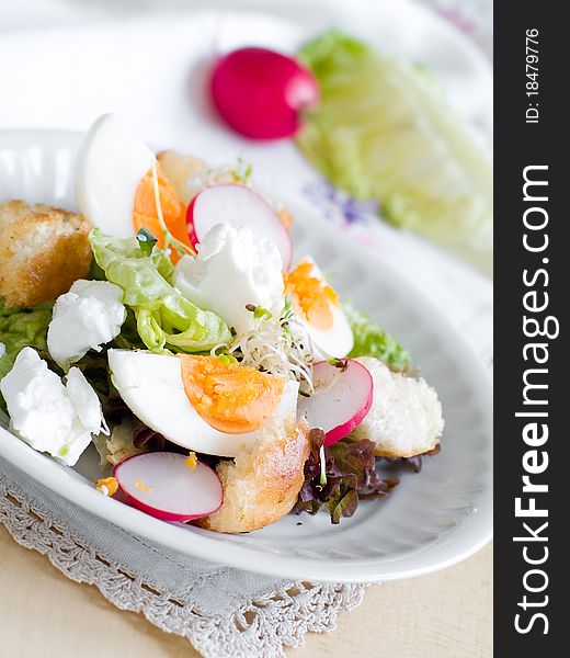 A fresh and light salad with egg and sprouts. A fresh and light salad with egg and sprouts