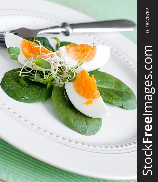 Appetizer with egg, spinach and sprouts