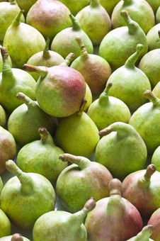 Pears(vertical) Stock Image Pears(vertical) Stock Image