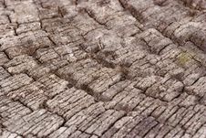Close-up Of A Old Wooden Texture Stock Image Close-up Of A Old Wooden Texture Stock Image