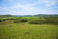 Green Fields At Menorca Royalty Free Stock Images Green Fields At Menorca Royalty Free Stock Images