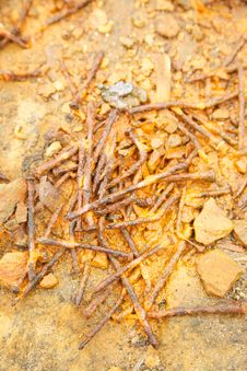 Group Of Rust Old Nails Royalty Free Stock Photo Group Of Rust Old Nails Royalty Free Stock Photo