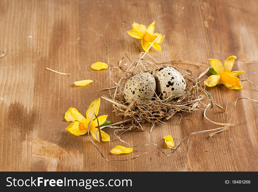 Quail's egg in  nest with yellow flowers over wooden background. Quail's egg in  nest with yellow flowers over wooden background