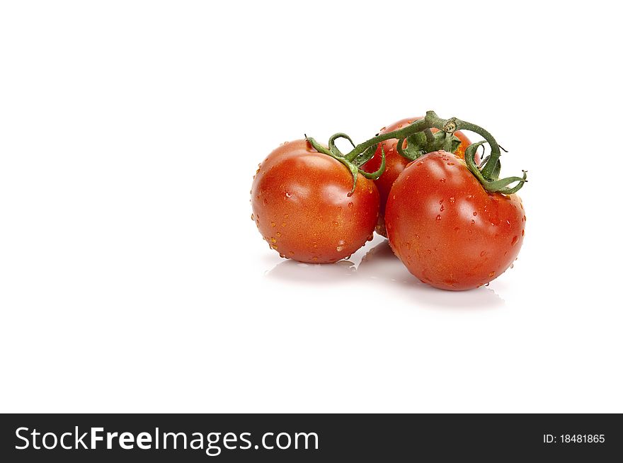 A bunch of cluster tomatoes on a white background with space for a message or product