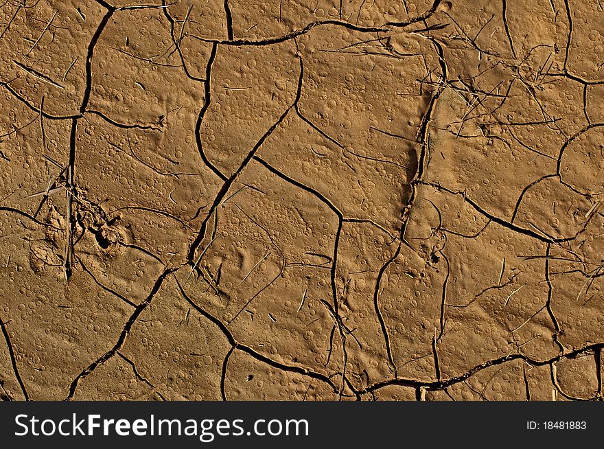 Dried ground brown to deep black crevices. Dried ground brown to deep black crevices