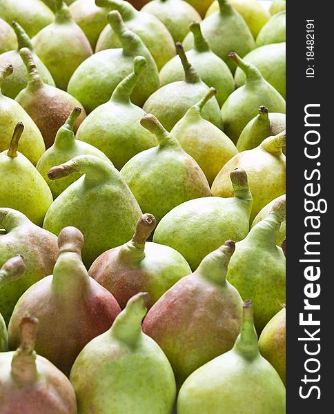 A vertical frame full of pears(greek variety). A vertical frame full of pears(greek variety)