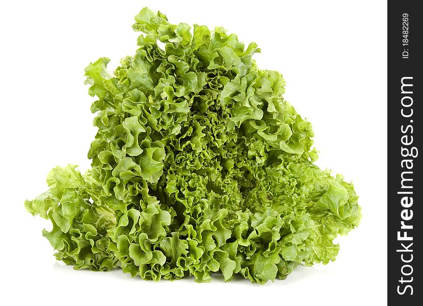 Fresh lettuce isolated on white background