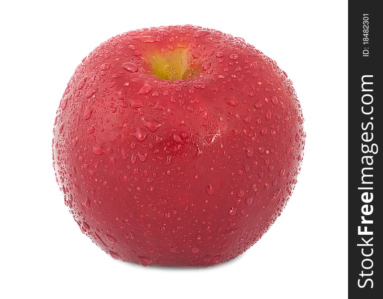 Fresh red apple in dew on a white background