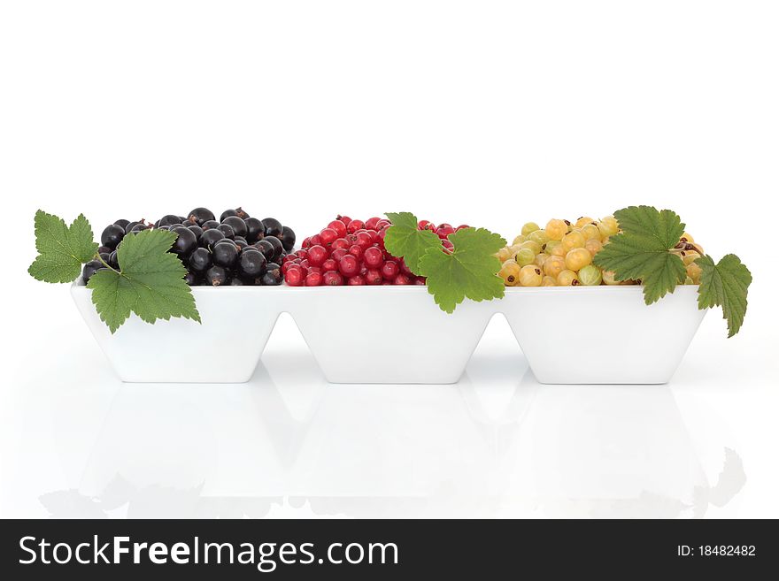 Blackcurrant, redcurrant and white currant fruit, in a porcelain dish with corresponding leaf sprig,  over white background. Blackcurrant, redcurrant and white currant fruit, in a porcelain dish with corresponding leaf sprig,  over white background.