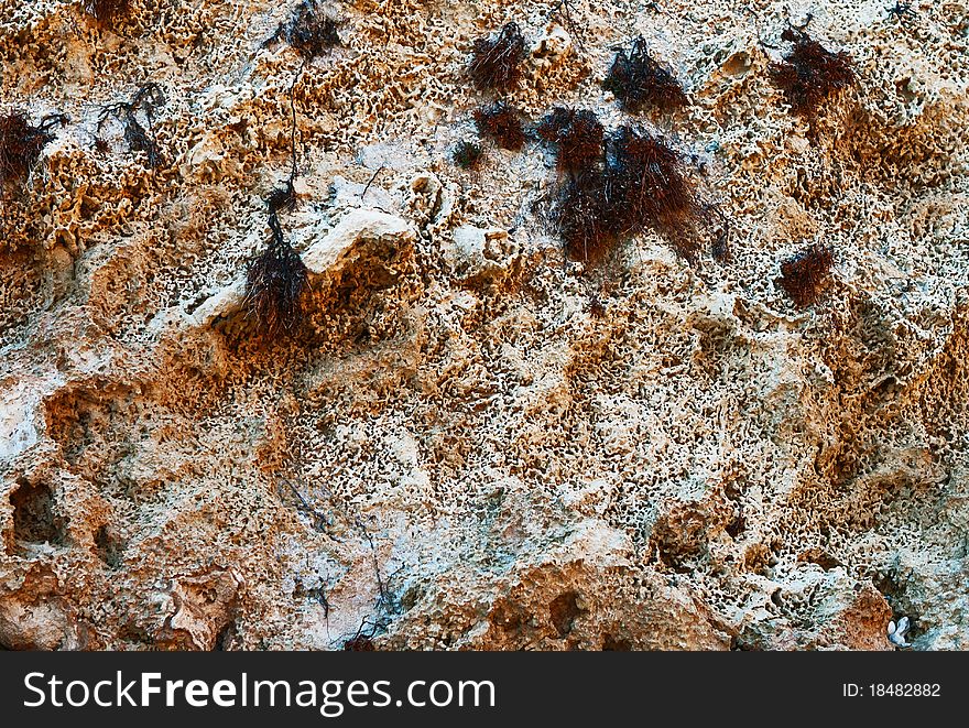 Closeup of mediterranean coastal ancient limestone texture. Good for abstract natural background. Closeup of mediterranean coastal ancient limestone texture. Good for abstract natural background.