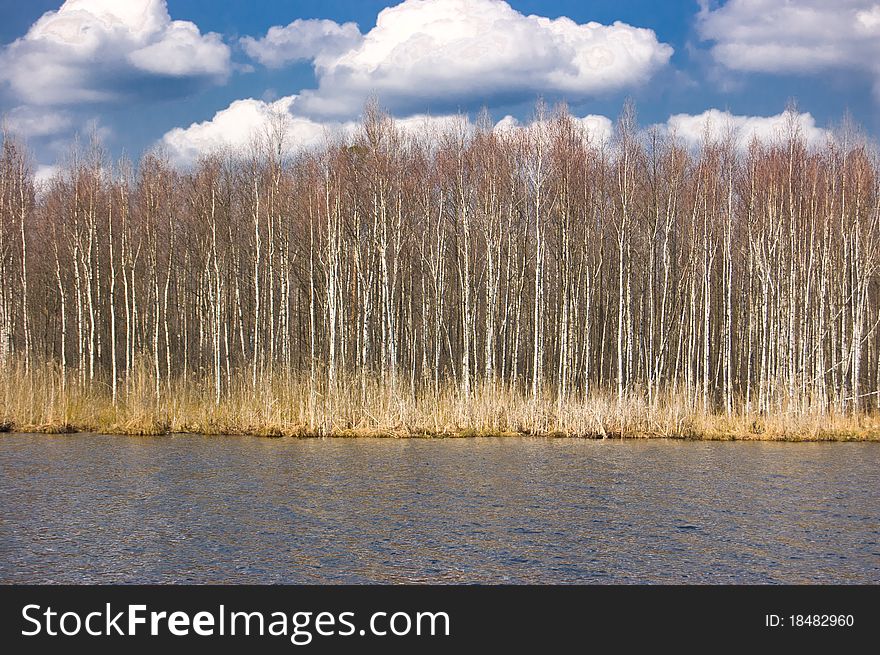 A wall of trees, river and sky with clouds. A wall of trees, river and sky with clouds