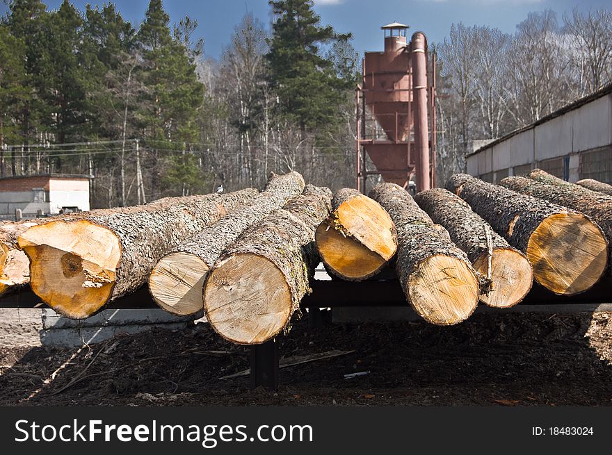 The ends of the tree, trees, and part of the sawmill. The ends of the tree, trees, and part of the sawmill