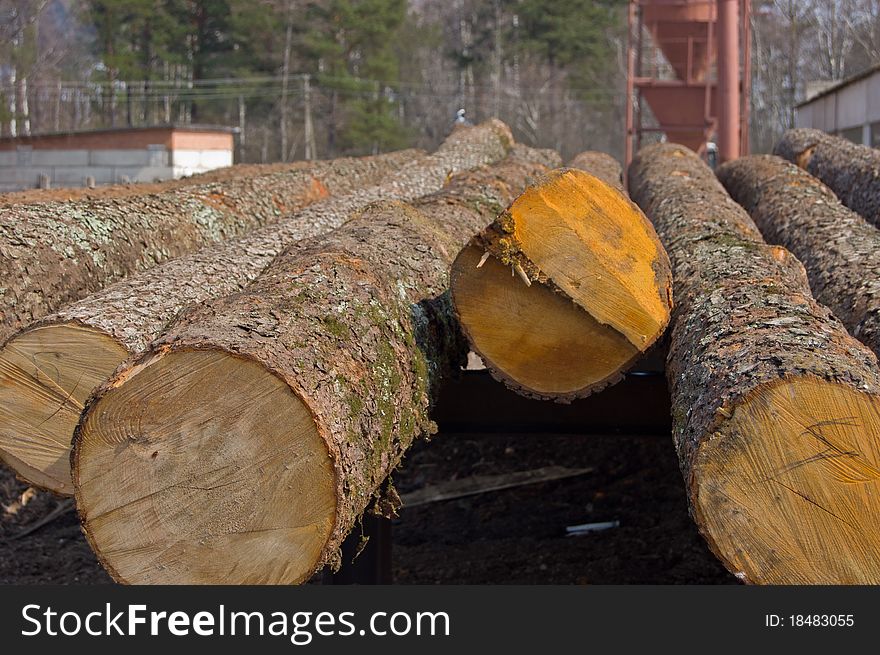 The ends of the logs cereals plan