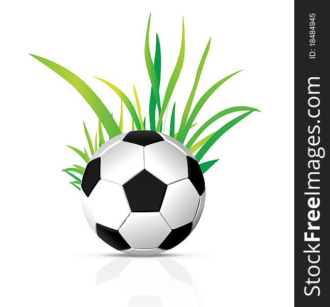 Vector soccer ball with grass element isolated on white background