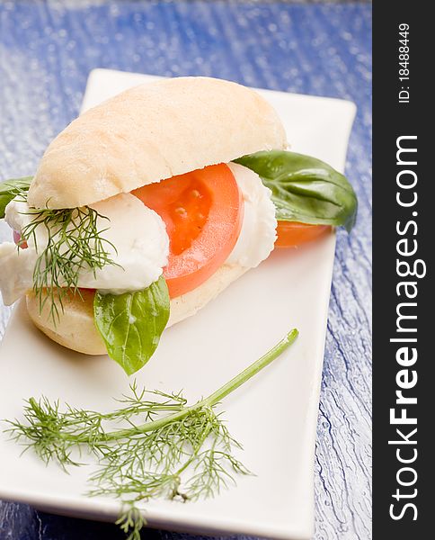 Photo of delicious tomatoe and mozzarella sandwich. Photo of delicious tomatoe and mozzarella sandwich