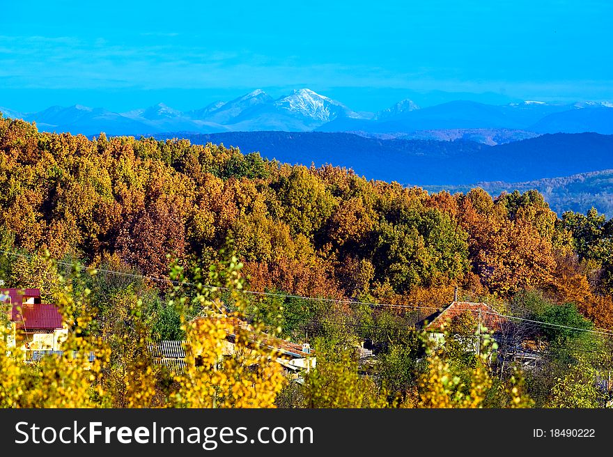 Autumn over the forest