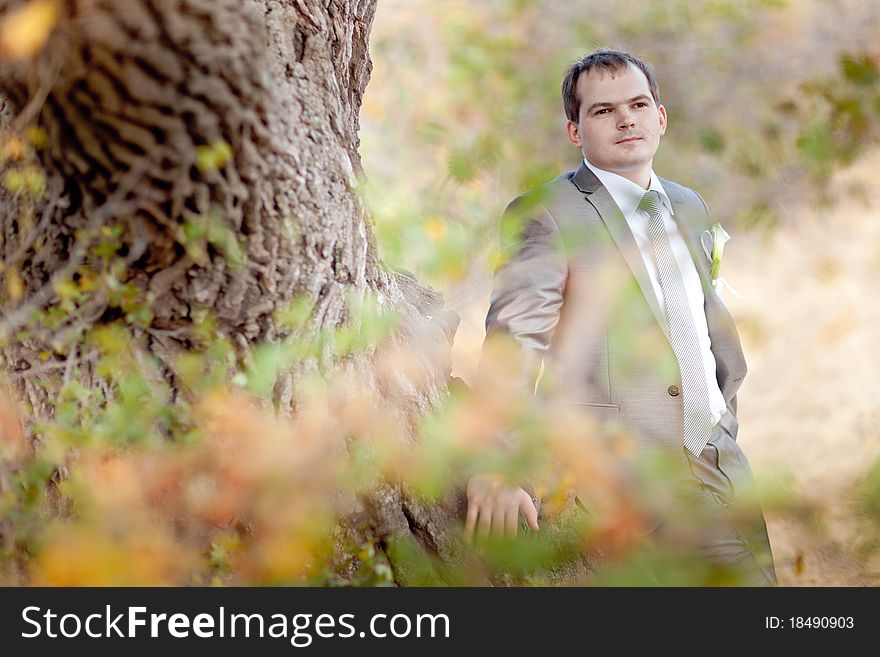 Well-dressed young man near the tree. Well-dressed young man near the tree