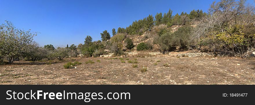 Landscape of scenic wooded Mediterranean hills. Landscape of scenic wooded Mediterranean hills