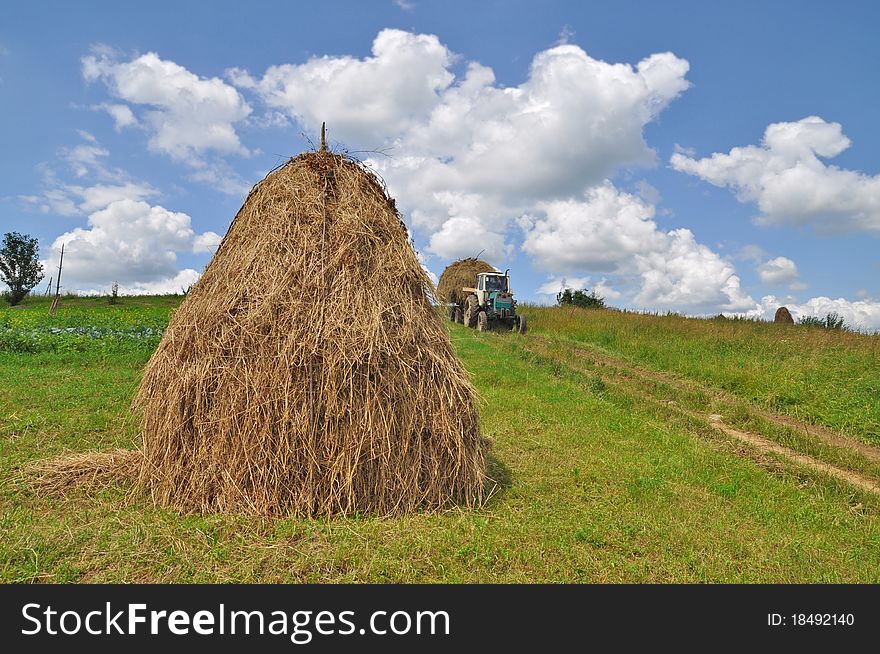 A tractor with the trailer the loaded hay in a summer rural landscape with a young clover and white clouds. A tractor with the trailer the loaded hay in a summer rural landscape with a young clover and white clouds