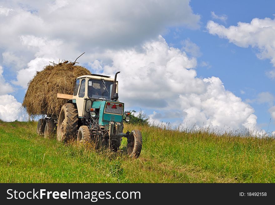 A tractor with the trailer the loaded hay in a summer rural landscape with a young clover and white clouds. A tractor with the trailer the loaded hay in a summer rural landscape with a young clover and white clouds