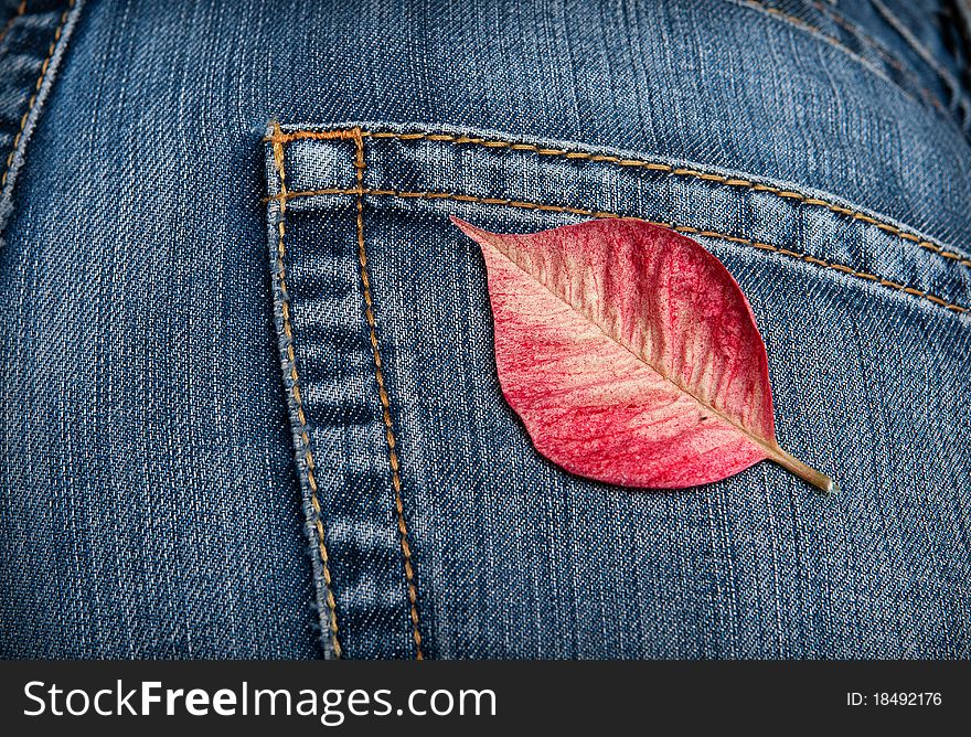 Red leaf on the pocket