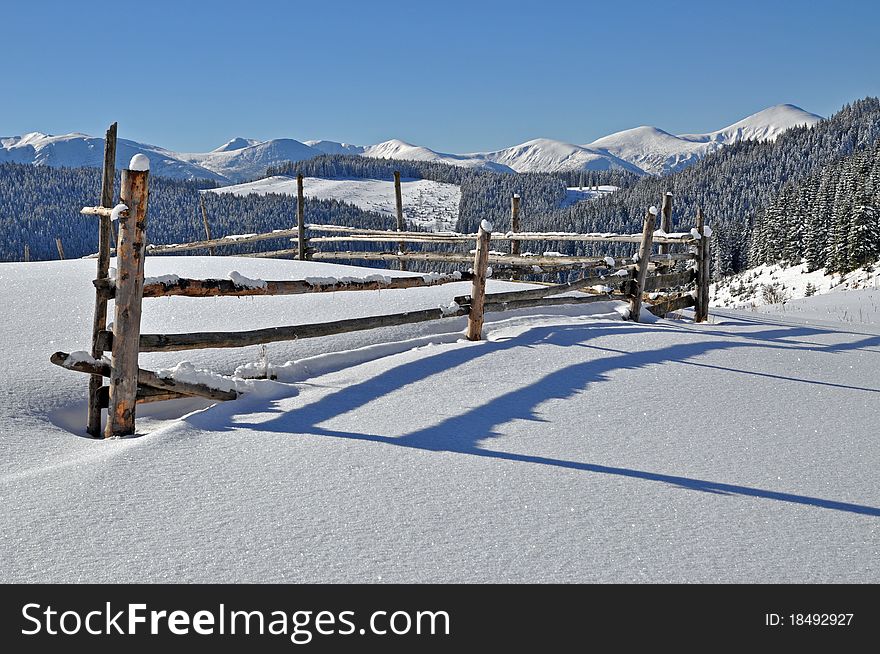 Winter on a hillside in a landscape under the dark blue sky