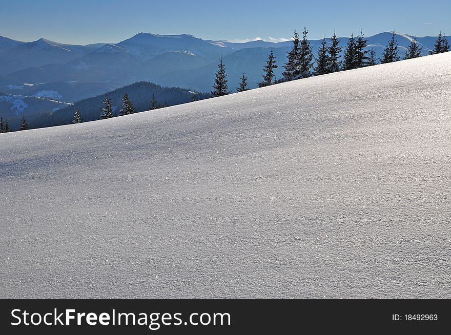 Winter on a hillside in a landscape under the dark blue sky