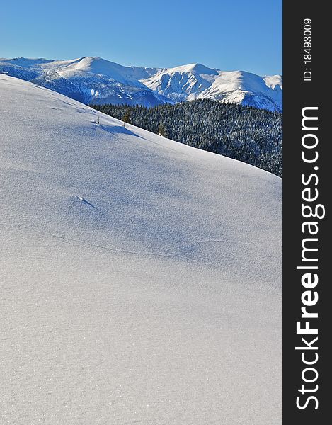 Winter on a hillside in a landscape under the dark blue sky