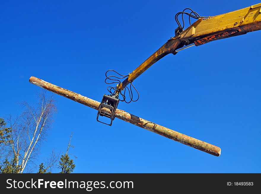 Loading Of Logs On Transport