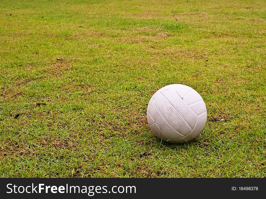 White valley ball on green grass background. White valley ball on green grass background