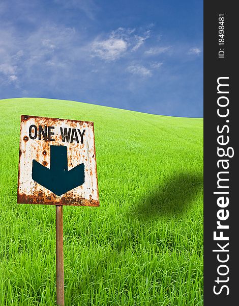 One Way Sign On Green Rice Farm