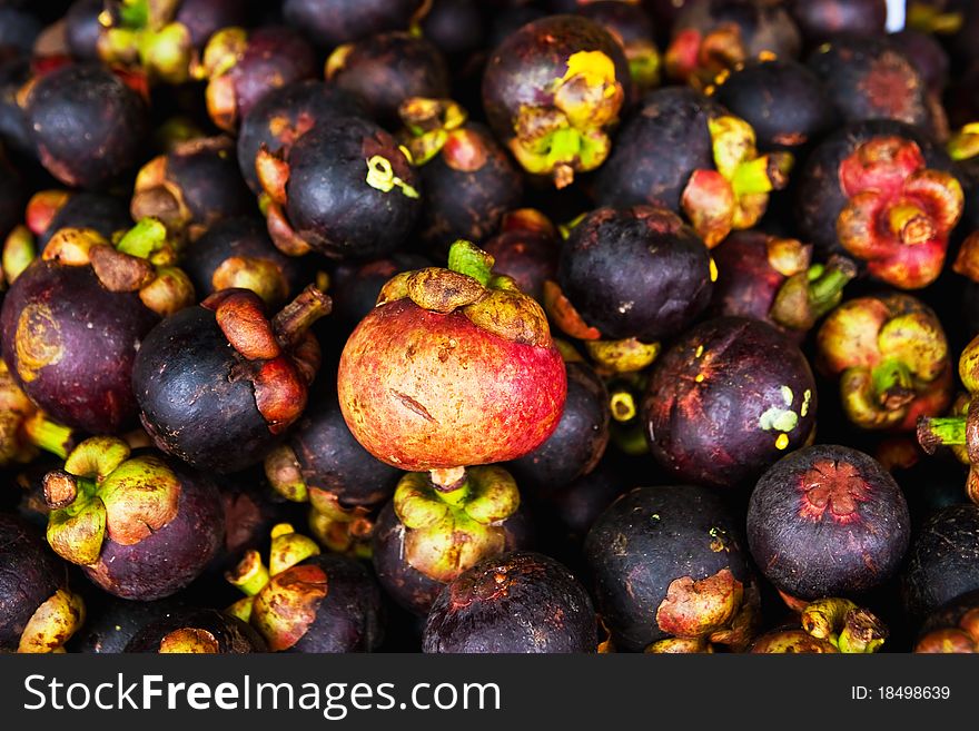 Red mangosteen against black purple mangosteen background