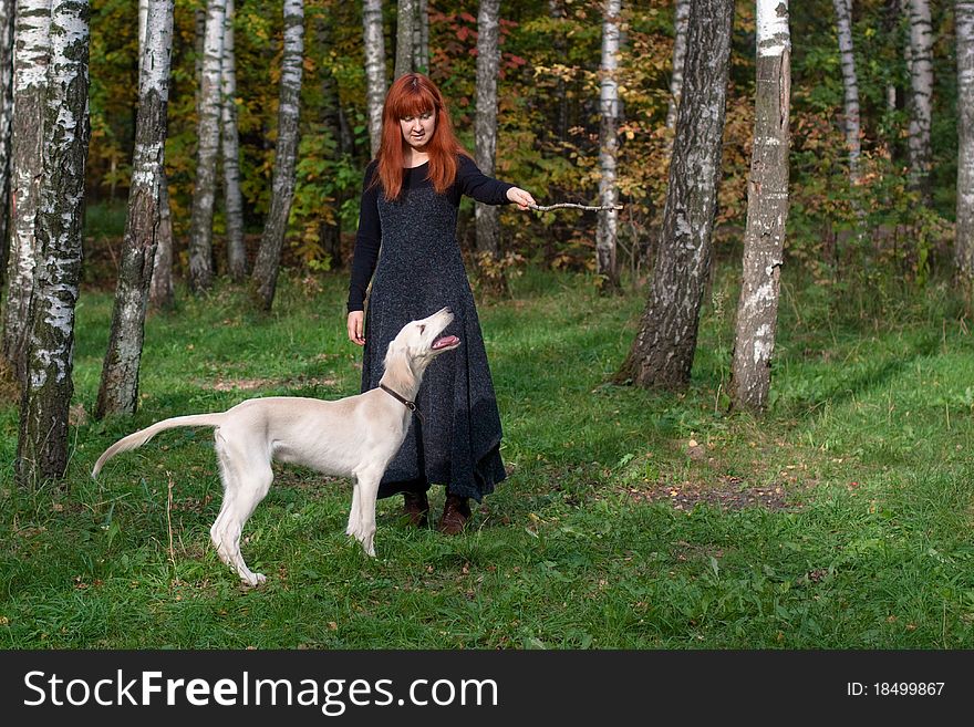 A girl in a black dress and white saliki pup in a forest. A girl in a black dress and white saliki pup in a forest