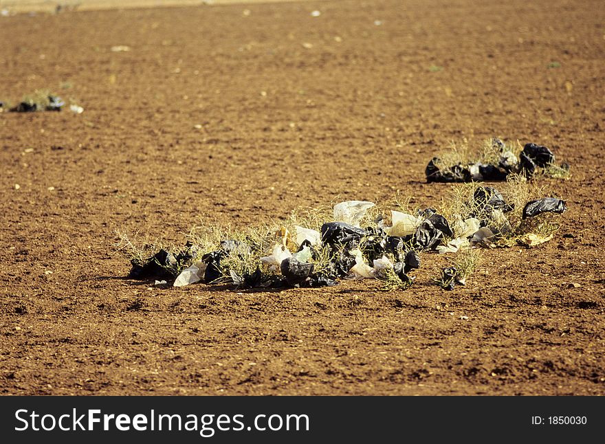 Plastic gags pushed by wind on a sowed field in Morocco. Plastic gags pushed by wind on a sowed field in Morocco