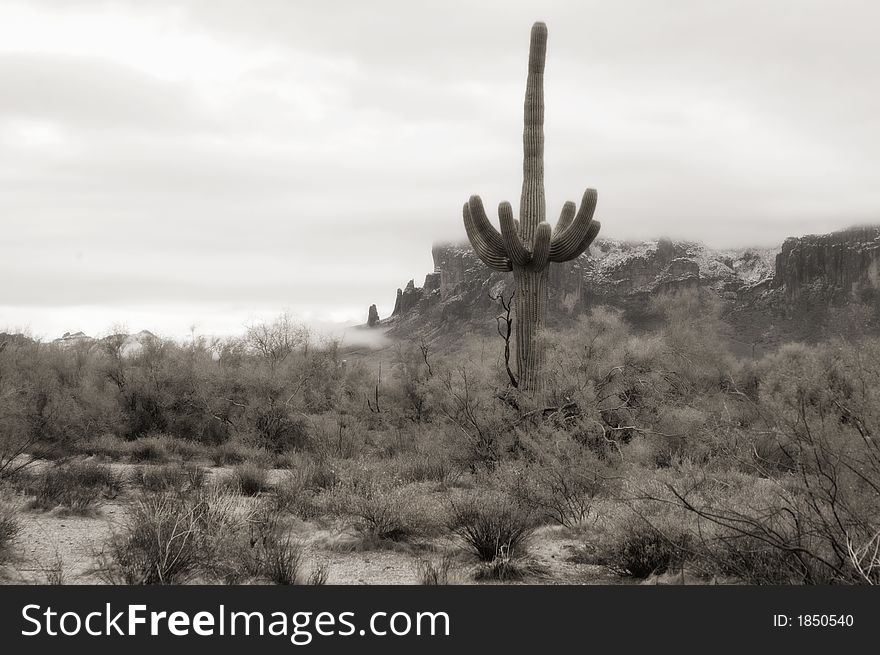 Rural desert landscape, the Superstition Mountains in the background with a dusting of snow and ice. Rural desert landscape, the Superstition Mountains in the background with a dusting of snow and ice.